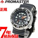 シチズン プロマスター CITIZEN PROMASTER エコドライブ プロフェッショナル 300m ダイバー 腕時計 メンズ ダイバーズウォッチ BN0176-08E