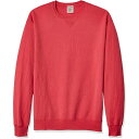 ショッピングパーカ ヘインズ メンズ パーカー・スウェットシャツ アウター Men's Comfortwash Garment Dyed Sweatshirt Crimson Fall