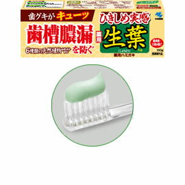 小林製薬 ひきしめ生葉（しょうよう）　100g 【医薬部外品】歯グキがキューッ。ひきしめ実感。6種類の天然植物由来の成分配合。薬用ハミガキ。