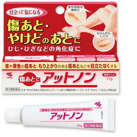 【メール便送料無料】小林製薬 アットノン　15g 【第2類医薬品】