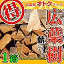 アウトレット【薪 1箱】 愛知県産 広葉樹の薪 乾燥薪 【送料無料】100サイズ箱にギッシリ詰まって (1箱13kg以上入) 薪ストーブ 暖炉の薪 焚火の薪 ピザ窯の薪 キャンプ薪 バーベキュー薪