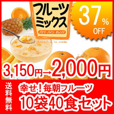 賞味期限2012.9.16★フリーズドライで簡単、美味しいフルーツミックス10袋セット（合計40食入り）　【SBZcou1208】