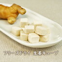 【数量限定】フリーズドライ 生姜キューブ 香料・着色料無添加 すりおろし生姜 薬