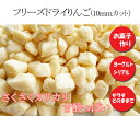 2袋以上で送料無料★フリーズドライりんご 10ミリカット(50グラム) 乾燥リンゴ ケーキクッキーの製菓材料 【RCP】