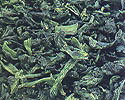ドライ（乾燥）ほうれん草（40g）　【SBZcou1208】生のおいしさをギュッと閉じ込めた乾燥ほうれん草！常温で長期保存可能な便利食材