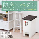 ゴミ箱 ごみ箱 ダストボックスエバン ペダル 20Lスリム ...