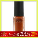 【メール便送料100円】ネイルホリック　BR319