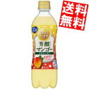 【送料無料】カルピスカルピスソーダ 芳醇マンゴー500mlペットボトル 48本(24本×2ケース)※北海道800円・東北400円の別途送料加算