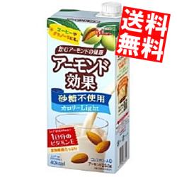 yzy1LTCYzOR A[hʍsgp J[Light1LpbN 6{