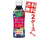 【送料無料】 伊藤園太陽のスーパーフルーツブルーベリー&アサイーミックス265gペットボトル 48本(24本×2ケース)※北海道800円・東北400円の別途送料加算