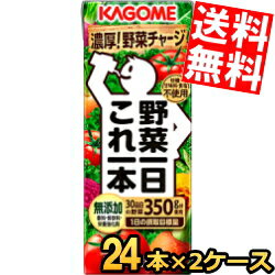 【送料無料】カゴメ　野菜一日これ一本200ml紙パック48本(24本×2ケース)[野菜ジュース]※北海道・沖縄・離島は送料無料対象外【sswf1】【2sp_120810_ blue】