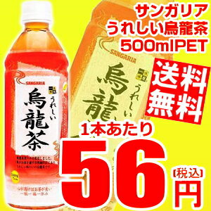 あす楽対応【送料無料】サンガリア一休茶屋 うれしい烏龍茶500mlPET　48本(24本×2ケース)※北海道・沖縄・離島は送料無料対象外訳あり【HLS_DU】【sswf1】【2sp_120810_ blue】