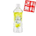 【送料無料】富永食品潤うラ・フランスの天然水500mlペット...