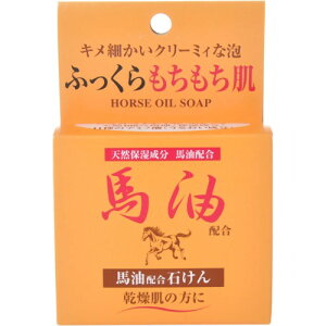 【10点セットで送料無料】ジュン・コスメティック　馬油 石けん 100G　無色素、無香料、防腐剤無添加　キメ細かいクリーミィな泡の馬油 石鹸×10点セット　★まとめ買い特価！ ( 4964653102596 )