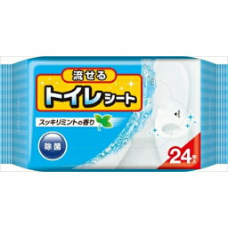 【令和・早い者勝ちセール】【コットンラボ】<strong>流せるトイレシート</strong> すっきりミントの香り 24枚入 ( トイレ　掃除 ) ( 4973202801095 )