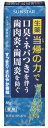 【送料無料・まとめ買い×3】サンスター 薬用塩ハミガキすっきり・さわやか香味85G×3点セット ( 4901616010338 )
