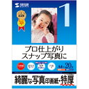 サンワサプライ サンワサプライ インクジェット写真印画紙・特厚 A4 20枚 JP-EP2NA4