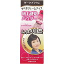 【送料無料・まとめ買い×3】レディーストップシェード パウダーヘア ダークブラウン 20g×3点セット ( 4903018133653 )