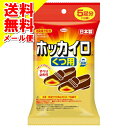 【メール便送料無料】興和 ホッカイロ くつ用 5足分 (使い...
