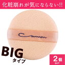【即納】【正規品】【クロネコDM便送料無料】Cannon ス...