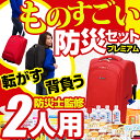 ものすごい防災セット 2人用キャリータイプの防災リュック 国内生産の長期保存食・保存水やエアーマットなど充実 防災グッズ 非常用持ちだし袋 避難セット 5年保存 7年保存 災害対策 避難用品 防災用品 忘れない3.11東北地震