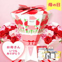 【遅れてごめんね】母の日 ぼうさいギフトブーケ セット 防災士×防災用品メーカー監修のギフトキット【Mother's Day プレゼント カーネーション 実用的 花束 防災ギフト 防災キット 防災セット 地震対策セット】