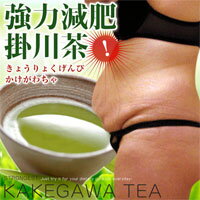 【代引き料・送料無料】　強力減肥掛川茶　2個セット　禁断の掛川茶を期間限定で解禁！！TV放映後、全国のスーパー、ドラックで品切れ！！