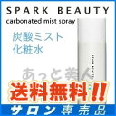 炭酸ミストスプレー 180g★スパークビューティー