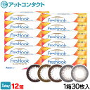 【送料無料】フレッシュルックデイリーズ イルミネート 12箱...