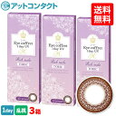【送料無料】【乱視用】アイコフレワンデーUV M トーリック...