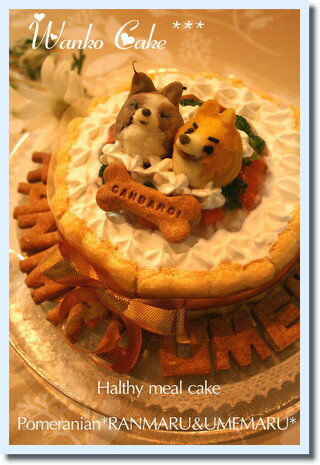 ワンコケーキ*ヘルシーディナーケーキ*L（犬用ケーキ）