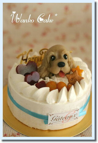 ワンコケーキ*フルーツデコレーションケーキ*M（犬用ケーキ・犬ケーキ・誕生日）...:atelier-waf:10000004