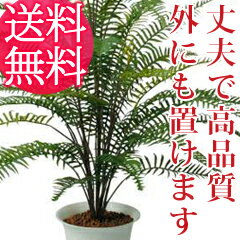 人工観葉植物　高品質インテリア人工樹木【AS-LSWF 人工樹木 スワードファーン 8628ah】【送料無料】　外にも置ける丈夫で高品質な人工観葉植物（人工樹木）贈り物、プレゼント、贈答品としても人気で、結婚祝い、新築祝い、新居祝い、開店祝いに！