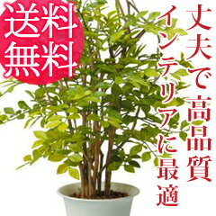 人工観葉植物　高品質インテリア人工樹木【AS-SGR 人工樹木 ミニゴールデンリーフ 8632ah】