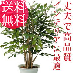 人工植物　高品質インテリア人工樹木【AS-STR 人工樹木 ミニトネリコ 8634ah】【送料無料】　インテリアに最適な高品質な人工植物（人工樹木）贈り物、プレゼント、贈答品としても人気で、結婚祝い、新築祝い、新居祝い、開店祝いに！