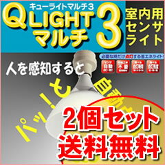 【送料無料】Qライトマルチ3【センサー照明 Qライトマルチ3 807790】2個の通販