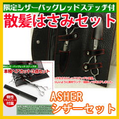 カットはさみ 理容師美容師 ハサミ すきばさみ 【散髪はさみセット ASHER シザーセット】の通販