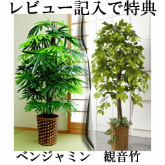 大型観葉植物 　【観葉植物　ベンジャミン/観音竹】　■レビュー記入で特典■　大型　造花　イ…...:athene:10025838