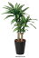 【代引き不可・送料無料】 406A180-44 幸福の木1.1 光触媒人工植物 W55×D55×H110cm 観葉植物 造花 お手入れ不要 インテリア/オフィスインテリア/開店祝い/プレゼント/ギフト 【北海道/沖縄/離島要相談】