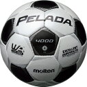 モルテン molten サッカー ペレーダ4000 土用 4号球 F4P4000 シャンパンシルバー×メタリックブラック 検定球