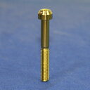 PROTI 64チタンボルト M6L45-OT02-G_1pcs/set