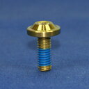 PROTI 64チタンボルト M6L16-OTB01-G_1pcs/set