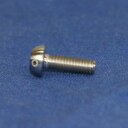 PROTI 64チタンボルト M4L11-OTB01-T_1pcs/set