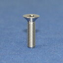 PROTI 64チタンボルト M4L15-OTB02-T_1pcs/set