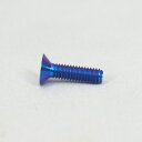PROTI 64チタンボルト M4L15-OTB02-B_1pcs/set