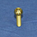 PROTI 64チタンボルト M4L15-OTB3-G_1pcs/set
