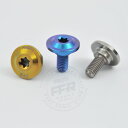 PROTI 64チタンボルト M5L12-OTB02-T_1pcs/set