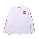 THE NORTH FACE L S SLEEVE GRAPHIC TEE(UEm[XEtFCX OX[u X[uOtBbN eB[)WHITE Y TVc 20SS-I