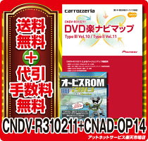 ☆在庫有◆送料無料&着後レビューでポイント3倍!◆オービスROM付◆CNDV-R310211+CNAD-OP14カロッツェリア更新版R310211+OP144