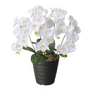 光触媒 エンジェル胡蝶蘭W フラワー 造花 観葉植物 ミニ インテリア アートフラワー 人工観葉植物 植物 フェイクフラワー 母の日ギフト 分解 抗菌 光の楽園 ホルムアルデヒド 消臭 お祝い 防汚 人工植物 花 母の日 フラワーギフト ギフト 花束 鉢植え プレゼント 結婚祝い
